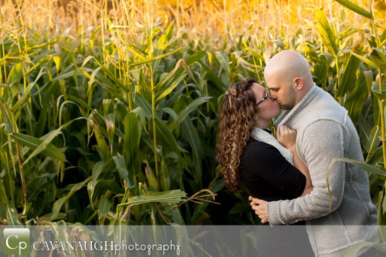 POTD_engagement_cornfield_mapleside_01-08-13
